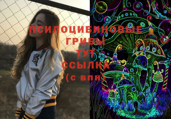 гашик Наволоки
