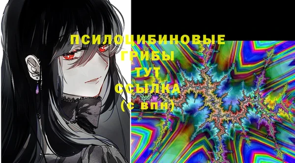 ECSTASY Надым