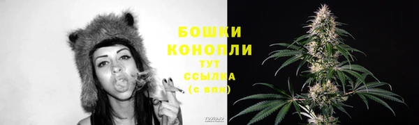 ECSTASY Надым