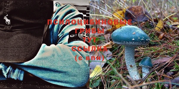 мдпв Навашино