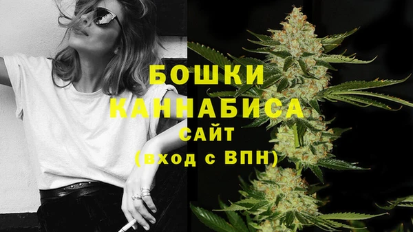 мдпв Навашино