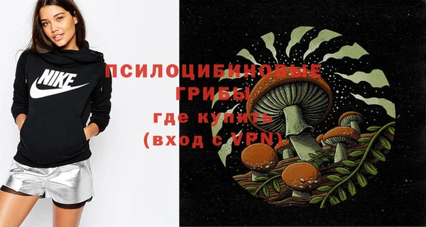 мдпв Навашино