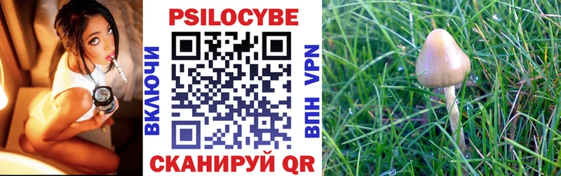 Купить закладки  Калтан  Псилоцибиновые грибы Psilocybine cubensis 