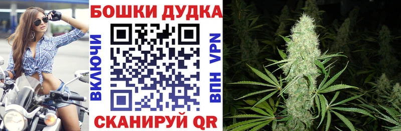 Купить где  Калтан  Конопля OG Kush 